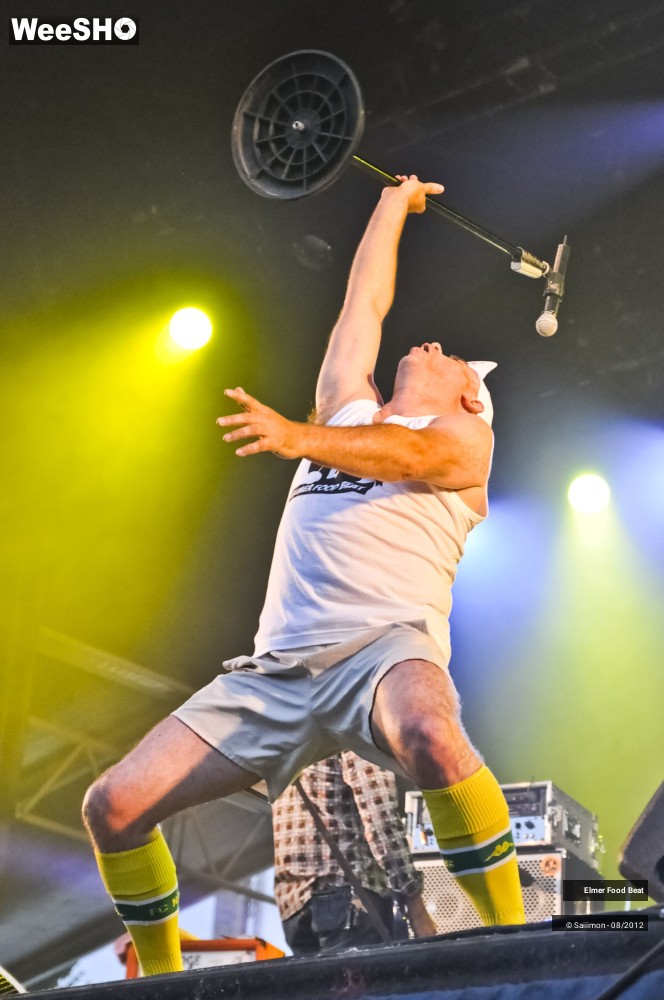 8/41 photos du spectacle Elmer Food Beat