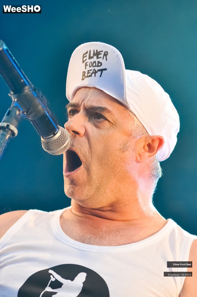 9/41 photos du spectacle Elmer Food Beat