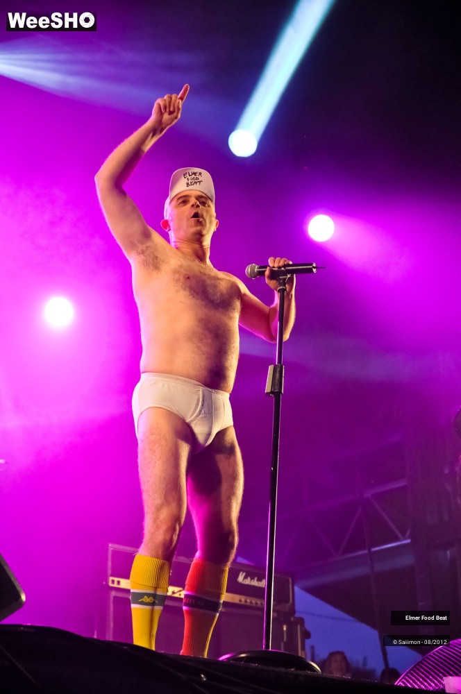 11/41 photos du spectacle Elmer Food Beat