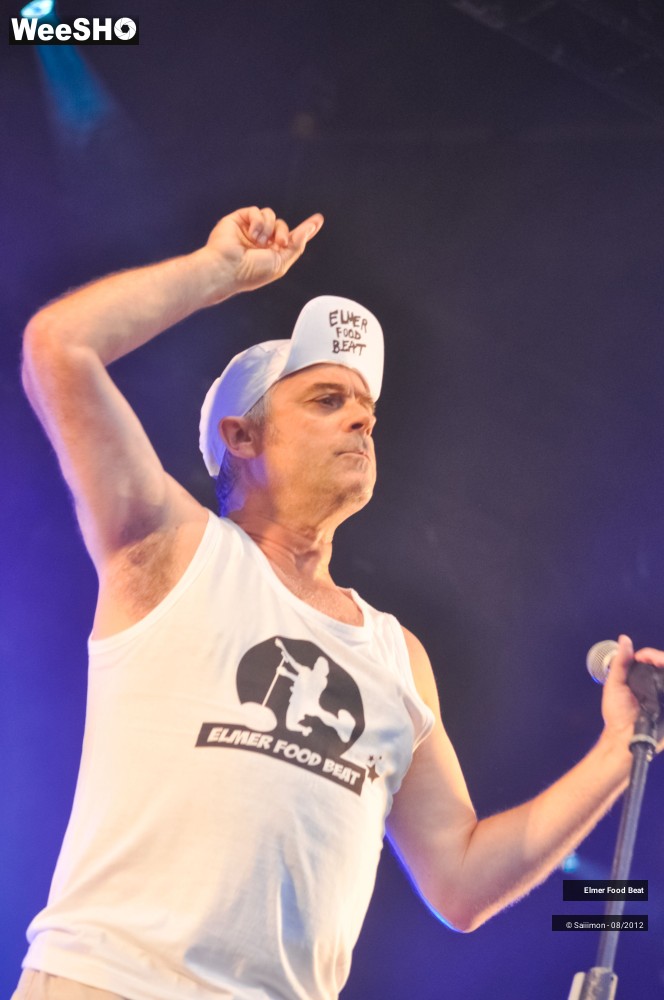 13/41 photos du spectacle Elmer Food Beat