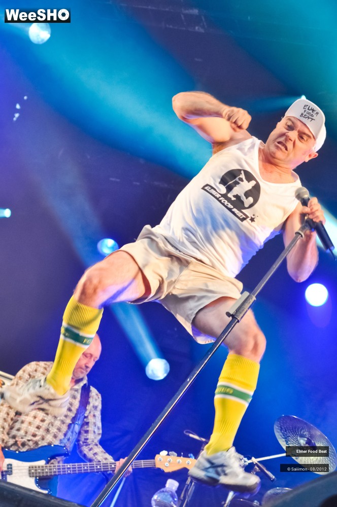 15/41 photos du spectacle Elmer Food Beat