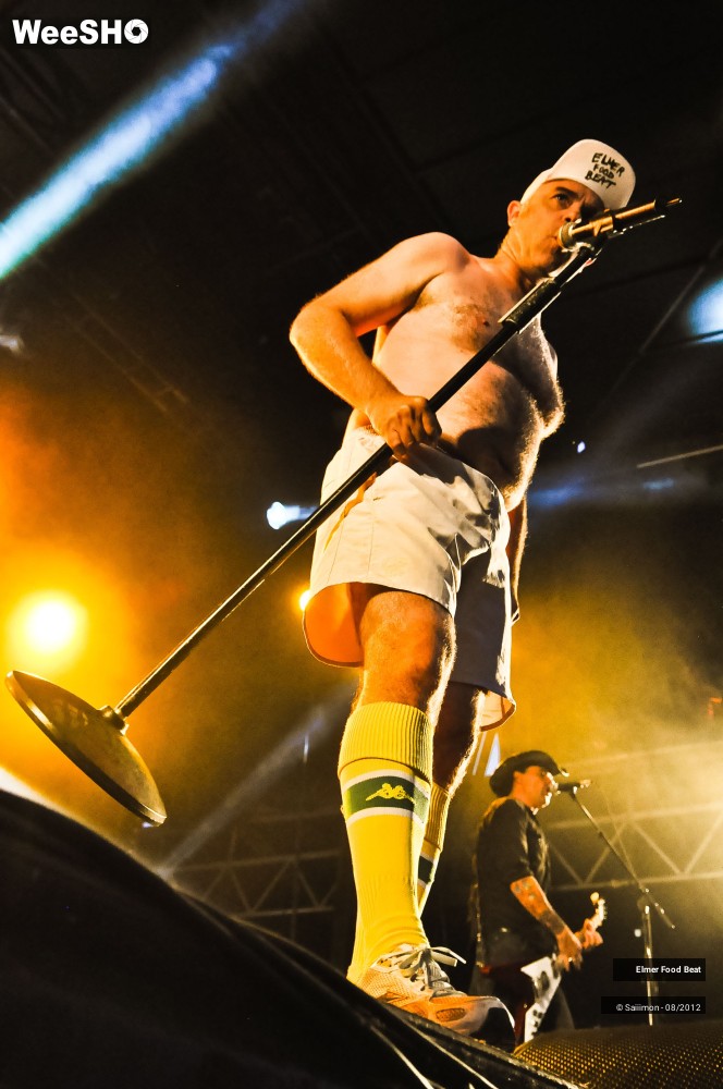 27/41 photos du spectacle Elmer Food Beat
