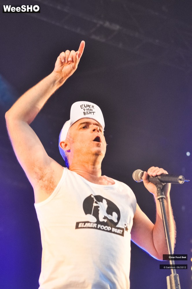 37/41 photos du spectacle Elmer Food Beat