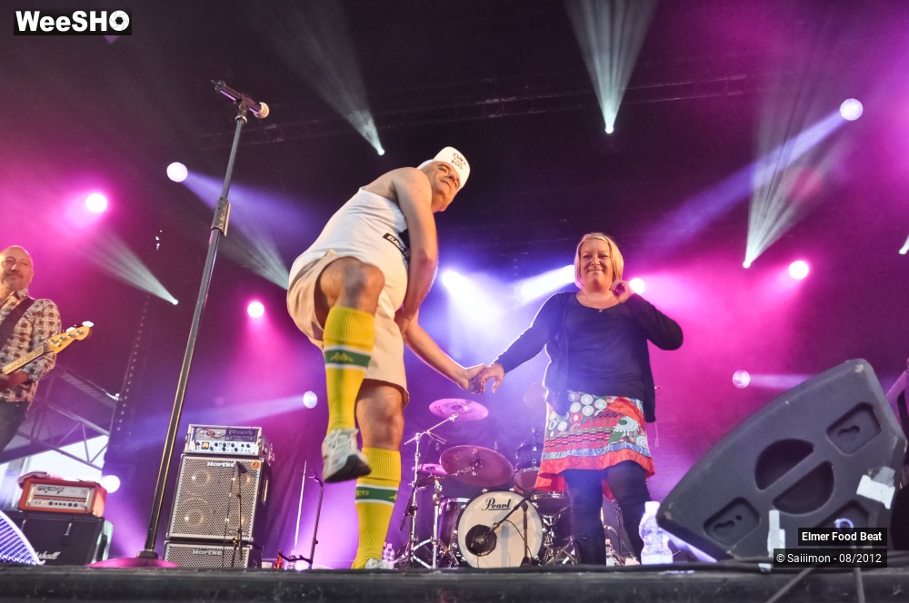 39/41 photos du spectacle Elmer Food Beat