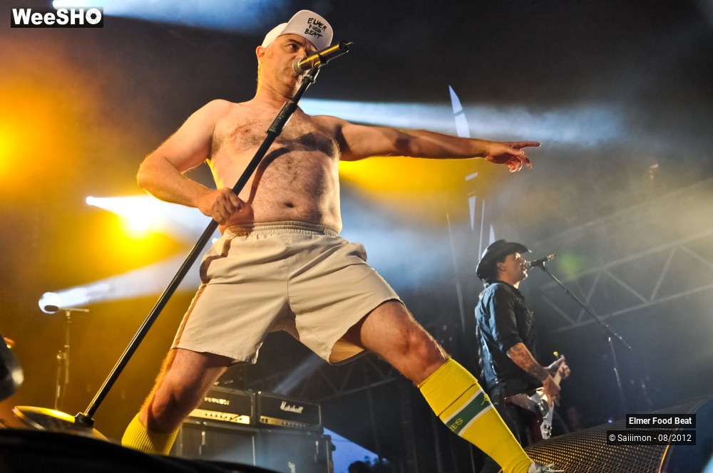 41/41 photos du spectacle Elmer Food Beat