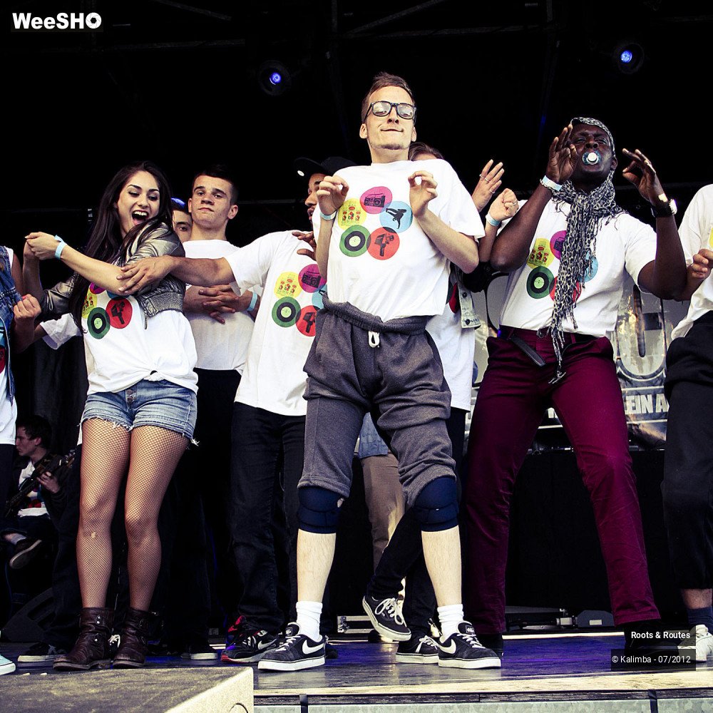 23/42 photos du spectacle Roots & Routes 2012
