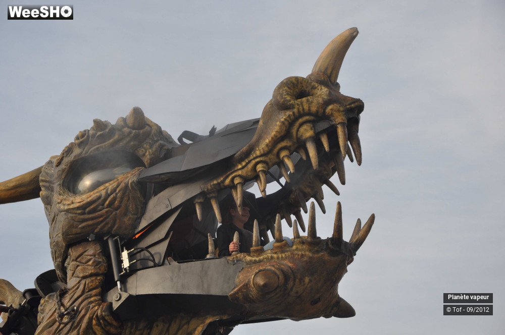 2/49 photos du spectacle Les dragonautes