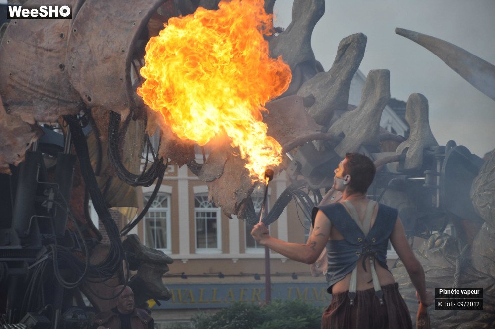 5/49 photos du spectacle Les dragonautes