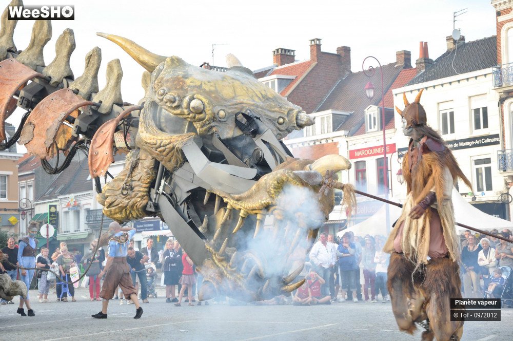 13/49 photos du spectacle Les dragonautes