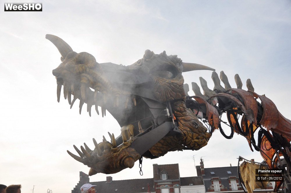 15/49 photos du spectacle Les dragonautes