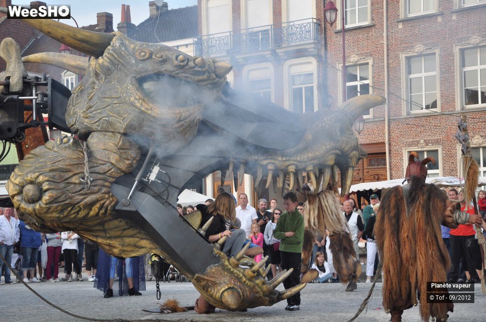 17/49 photos du spectacle Les dragonautes