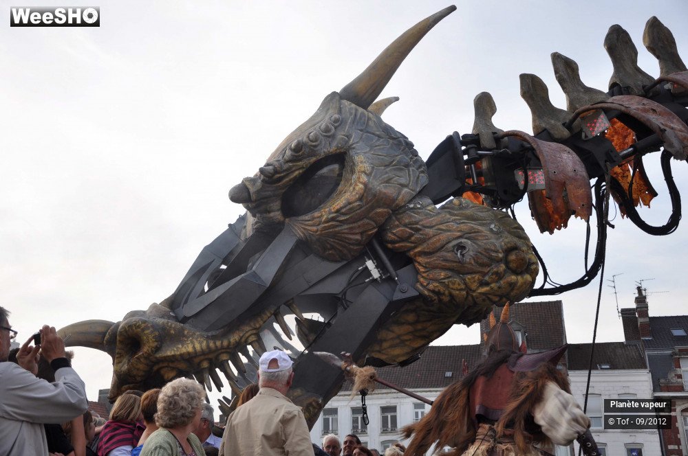 24/49 photos du spectacle Les dragonautes