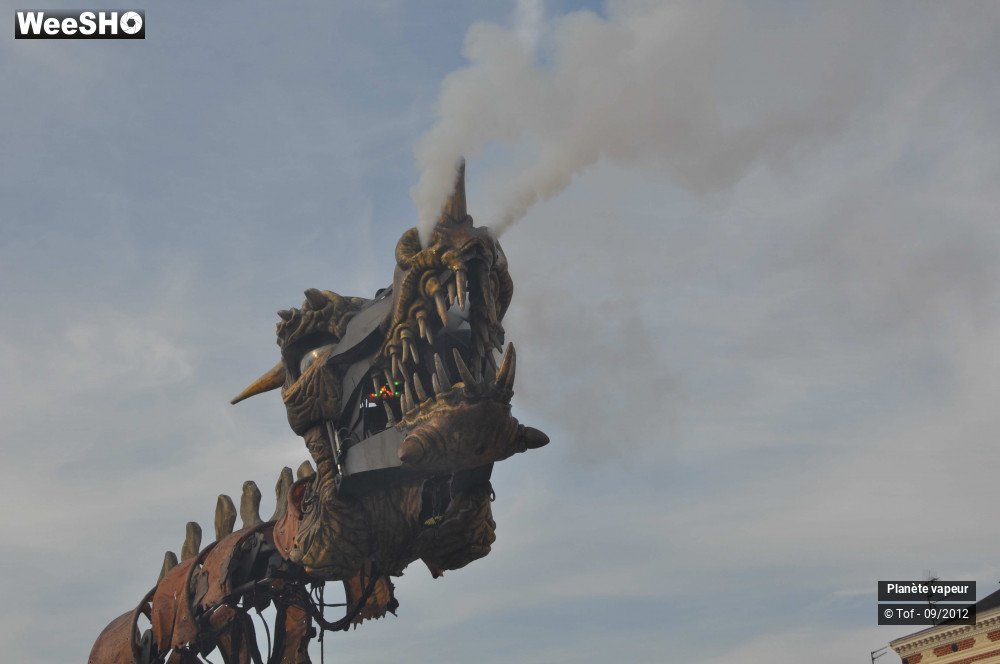 31/49 photos du spectacle Les dragonautes