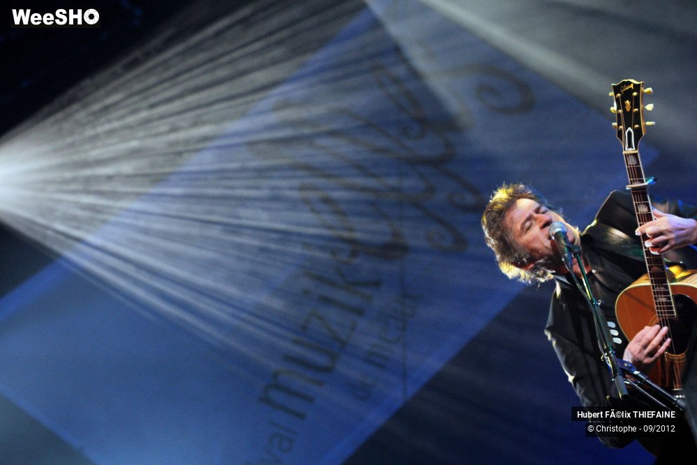 13/29 photos du spectacle H. F. Thiefaine