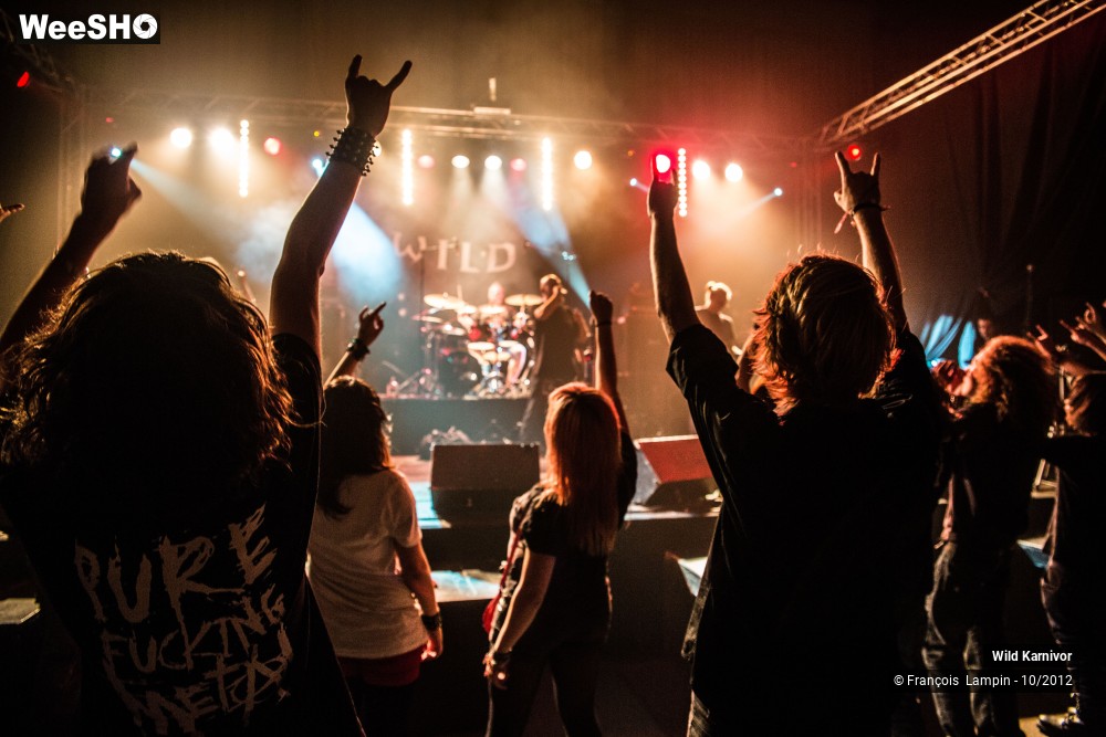 11/30 photos du spectacle Wild