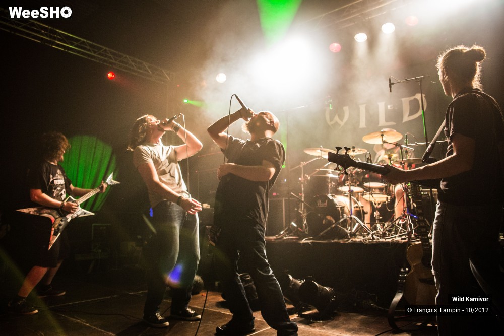 19/30 photos du spectacle Wild