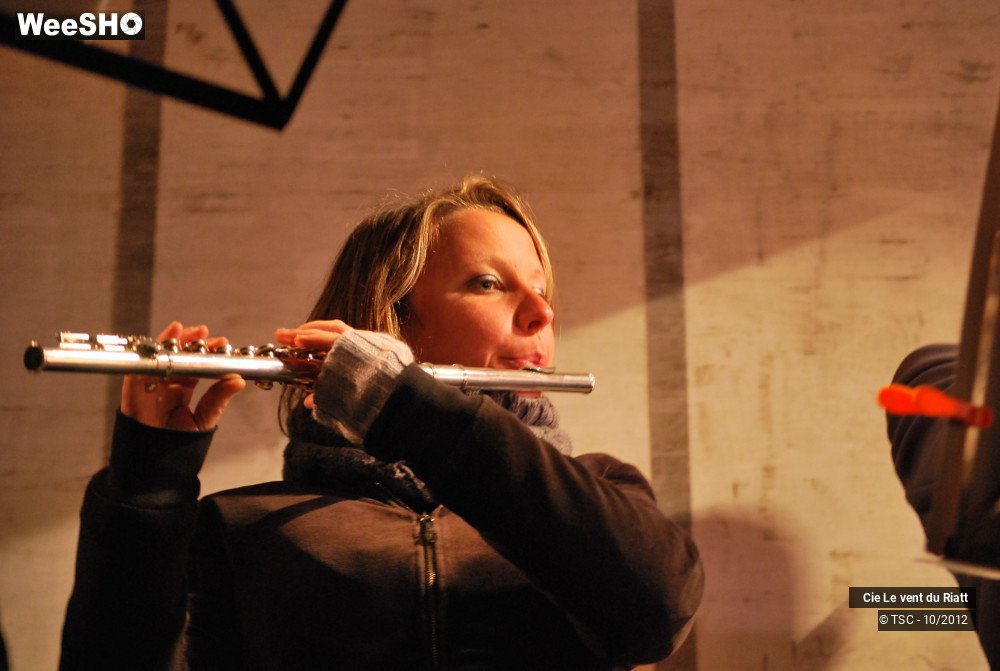 7/33 photos du spectacle Les Weepapiers