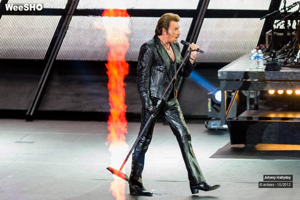 12/49 photos du spectacle Johnny Hallyday