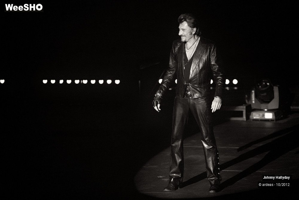 15/49 photos du spectacle Johnny Hallyday