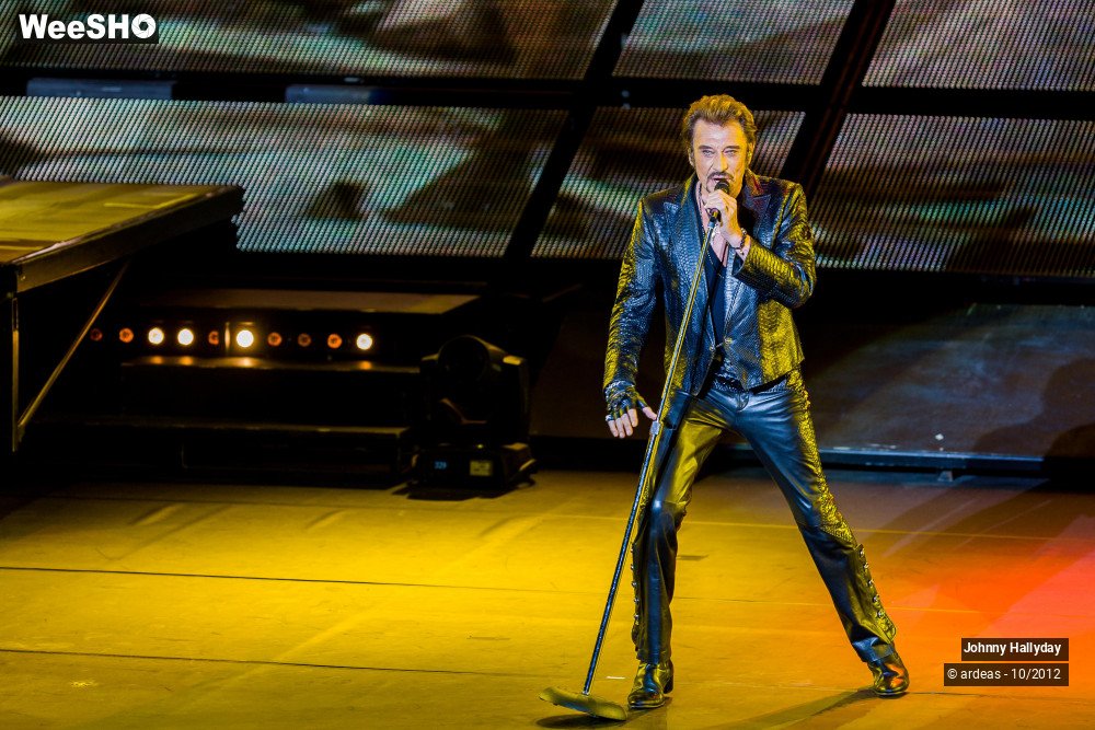 16/49 photos du spectacle Johnny Hallyday