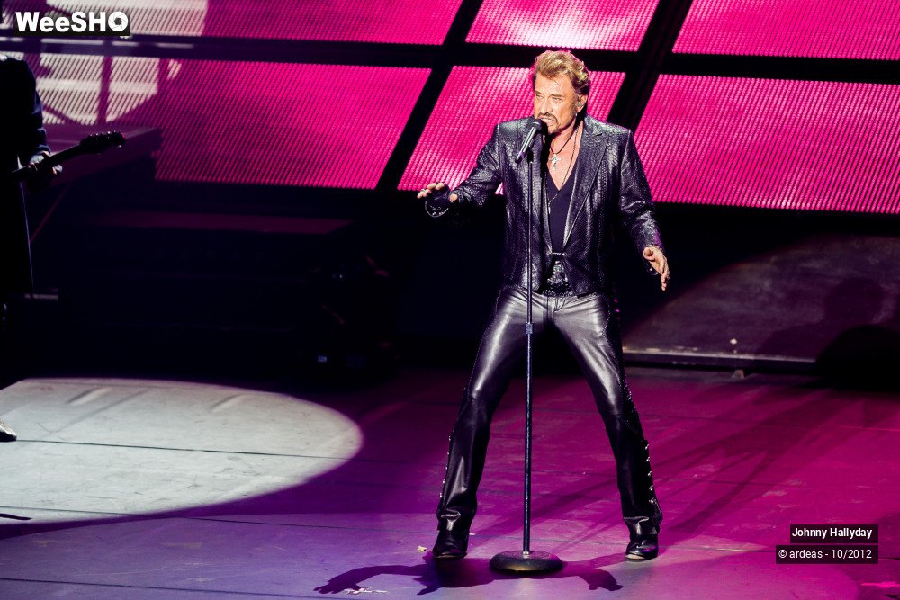 18/49 photos du spectacle Johnny Hallyday