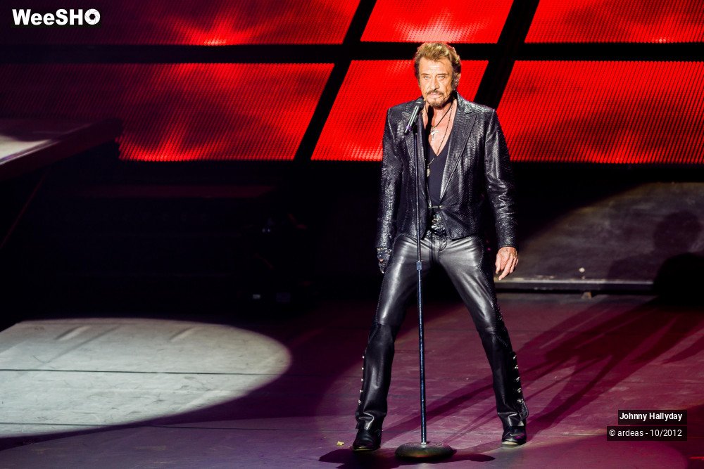 20/49 photos du spectacle Johnny Hallyday