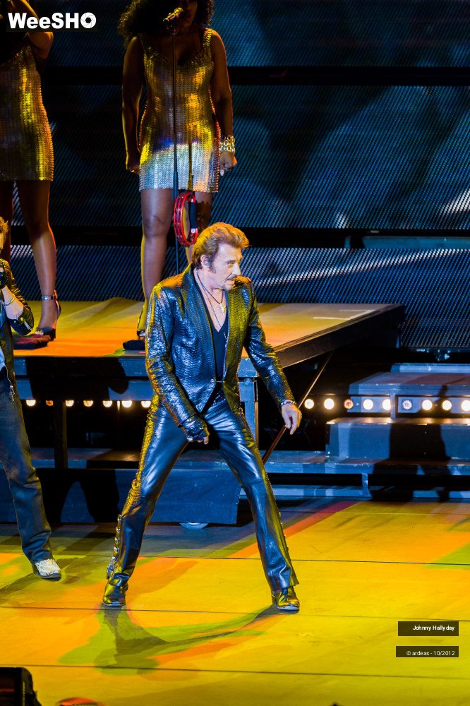 23/49 photos du spectacle Johnny Hallyday
