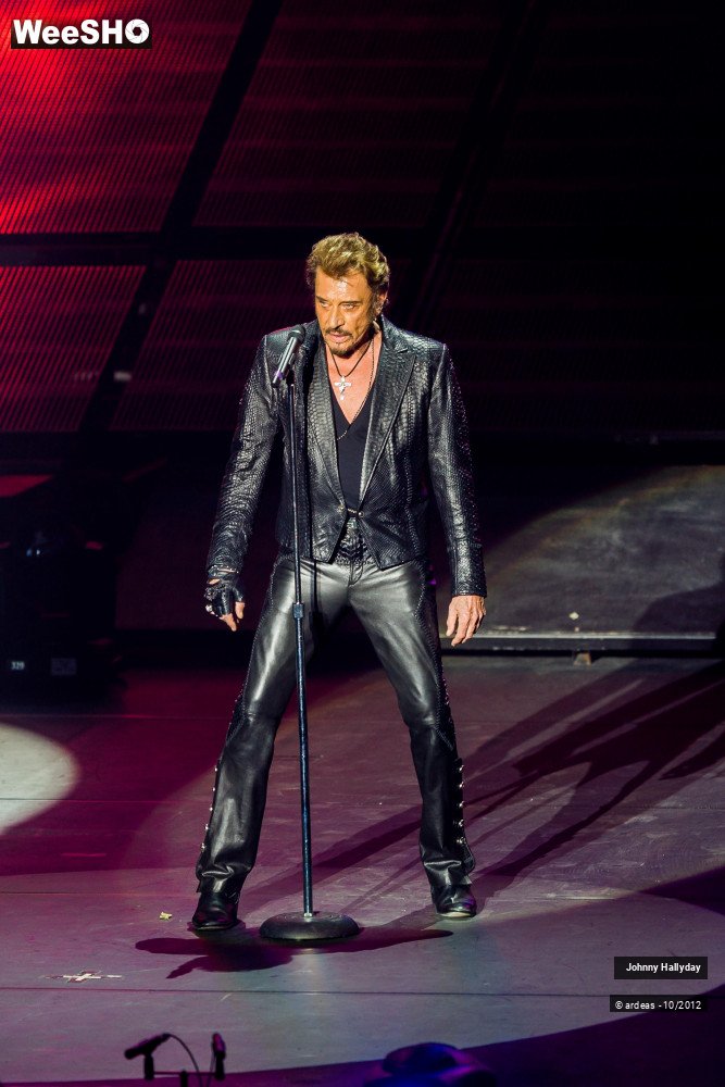 25/49 photos du spectacle Johnny Hallyday