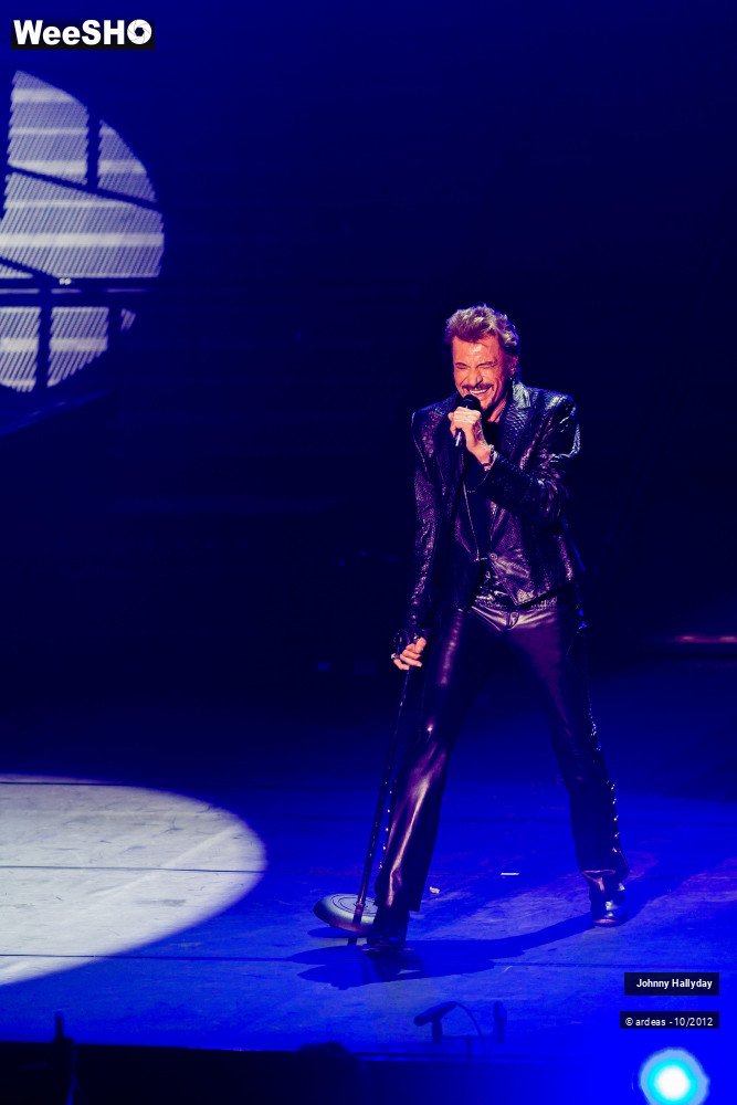 28/49 photos du spectacle Johnny Hallyday