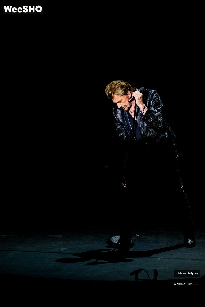 29/49 photos du spectacle Johnny Hallyday