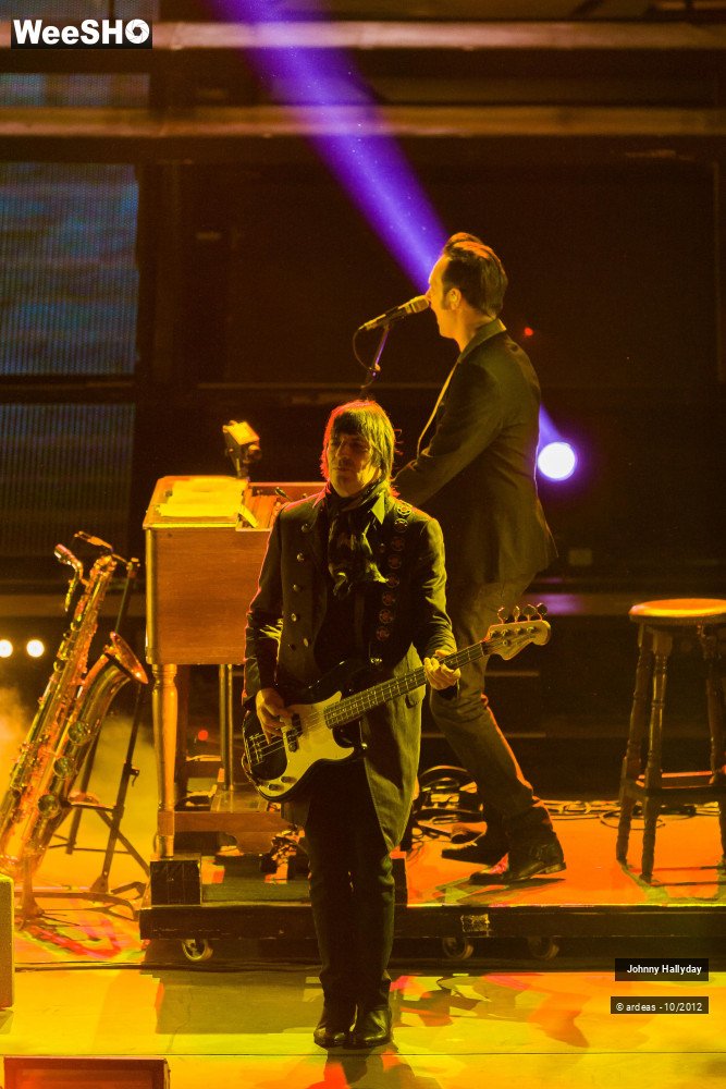 30/49 photos du spectacle Johnny Hallyday
