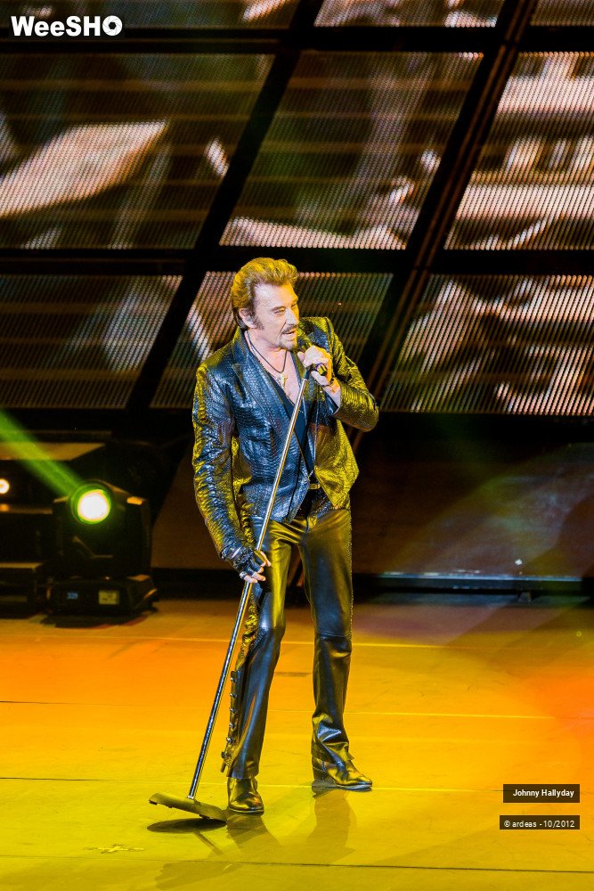 33/49 photos du spectacle Johnny Hallyday