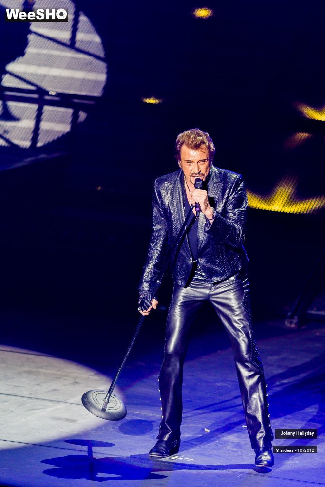 34/49 photos du spectacle Johnny Hallyday