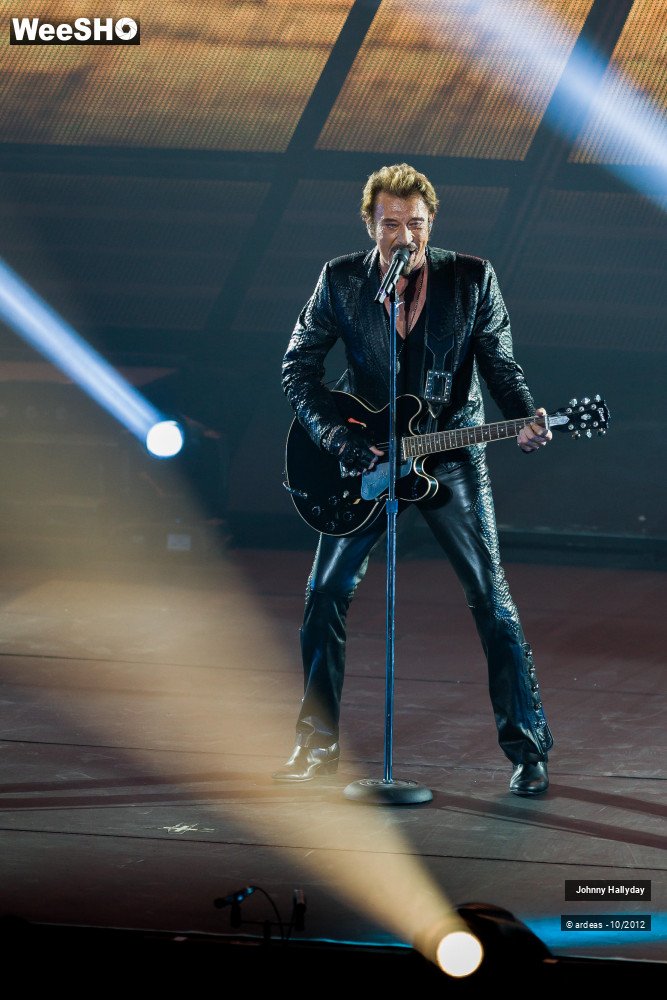 36/49 photos du spectacle Johnny Hallyday