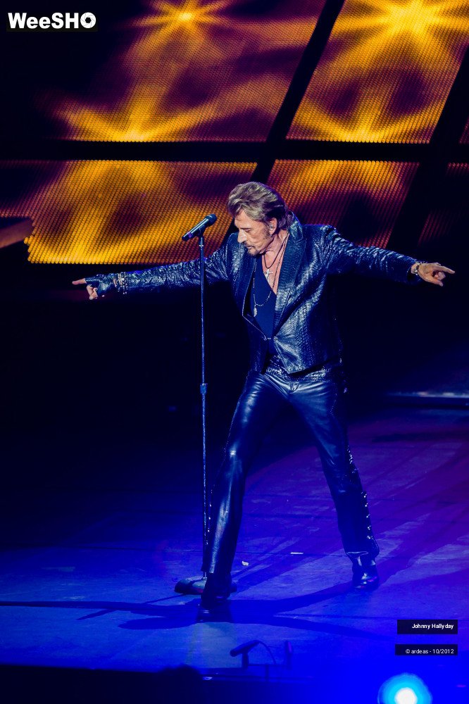 37/49 photos du spectacle Johnny Hallyday
