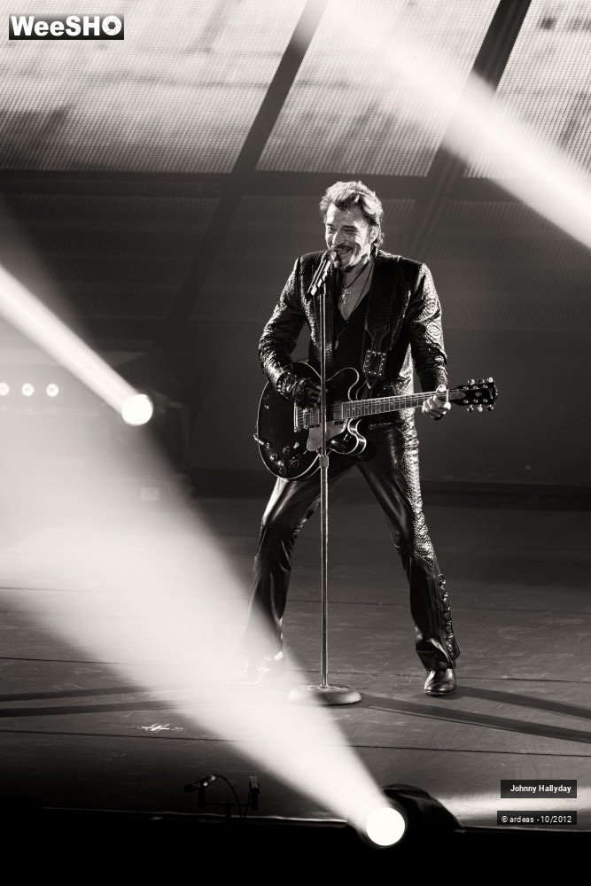 39/49 photos du spectacle Johnny Hallyday