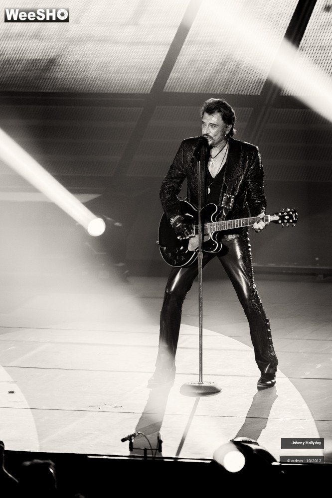40/49 photos du spectacle Johnny Hallyday