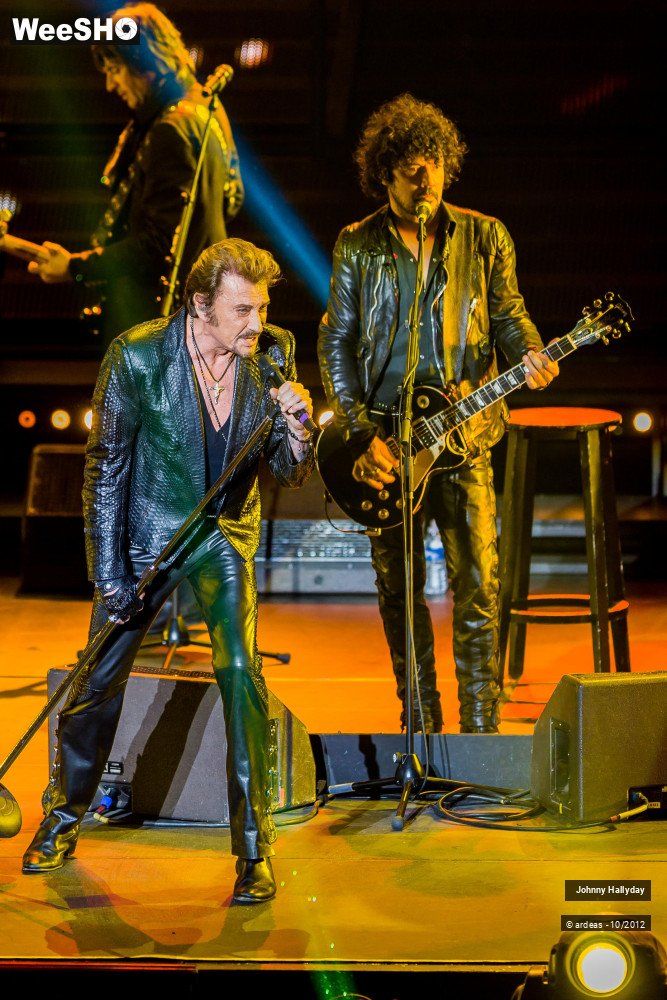 41/49 photos du spectacle Johnny Hallyday