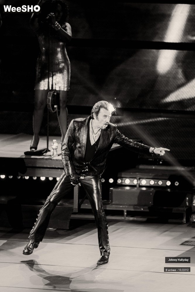42/49 photos du spectacle Johnny Hallyday