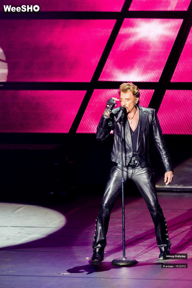 43/49 photos du spectacle Johnny Hallyday