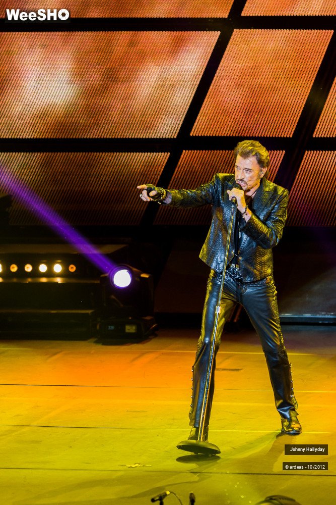 44/49 photos du spectacle Johnny Hallyday