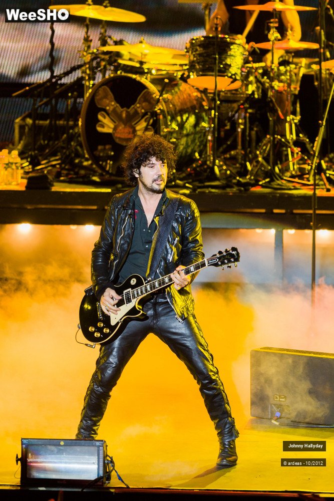 45/49 photos du spectacle Johnny Hallyday