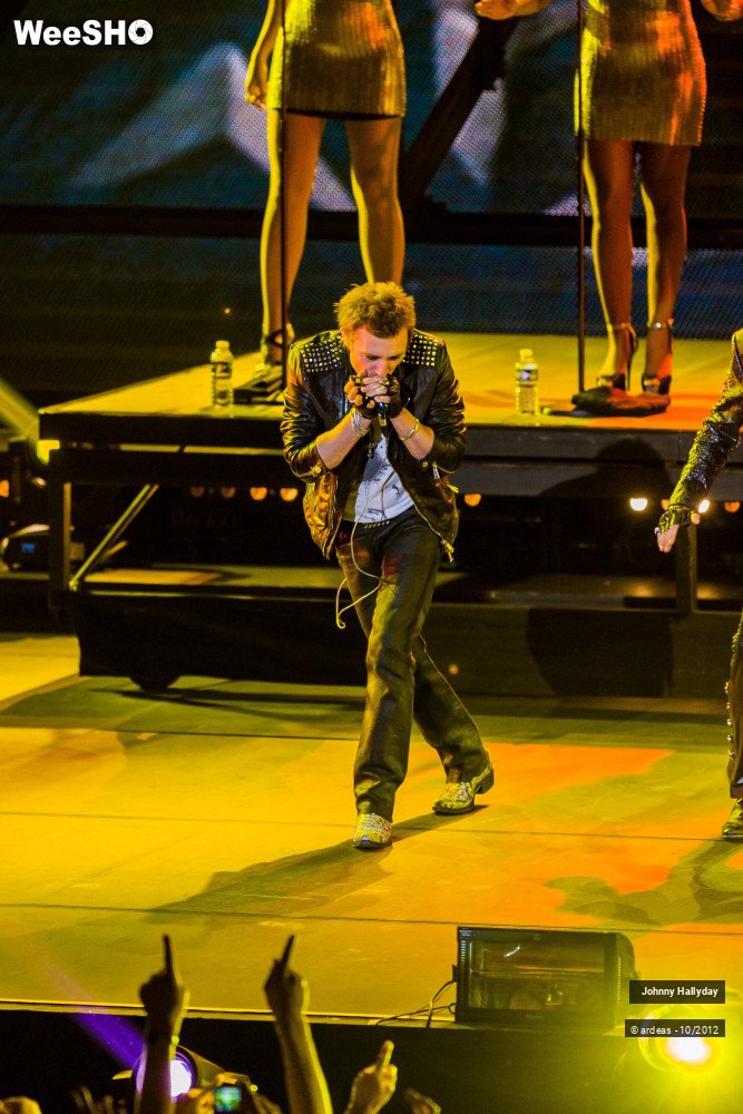 46/49 photos du spectacle Johnny Hallyday