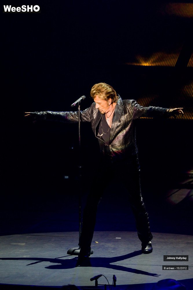 47/49 photos du spectacle Johnny Hallyday