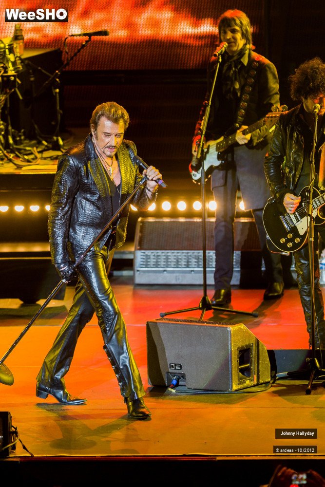 49/49 photos du spectacle Johnny Hallyday