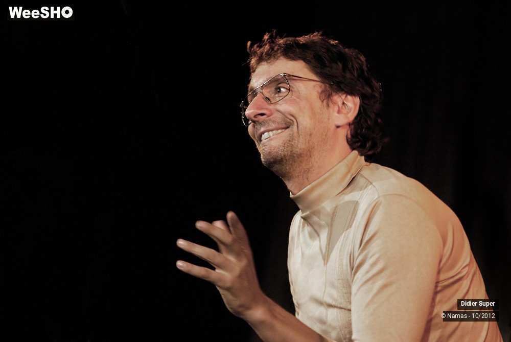 24/31 photos du spectacle Didier Super