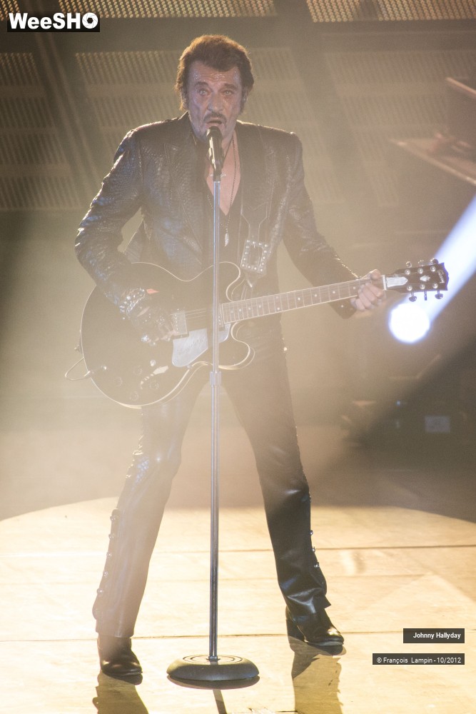 4/50 photos du spectacle Johnny Hallyday