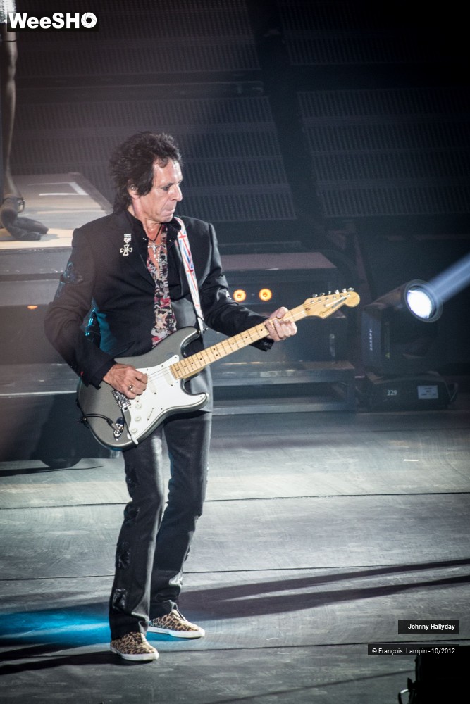 28/50 photos du spectacle Johnny Hallyday