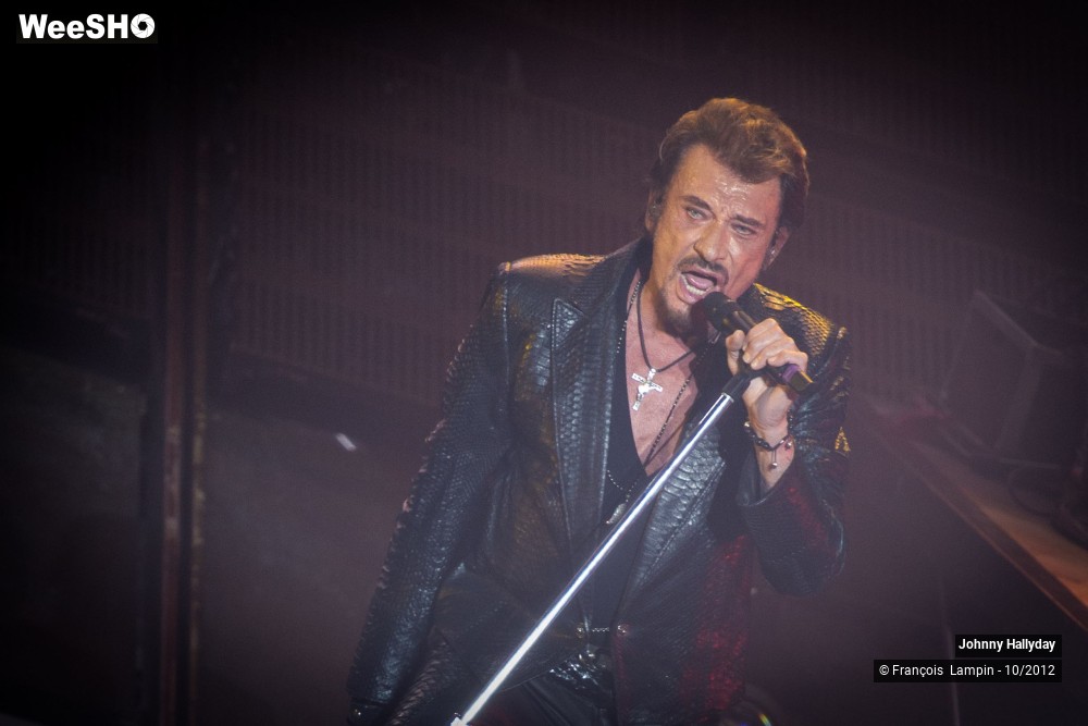 36/50 photos du spectacle Johnny Hallyday