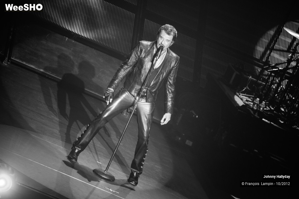 37/50 photos du spectacle Johnny Hallyday